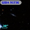 LEDA   91736