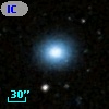 IC 1445