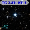TYC 3166-166-1