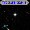 TYC 3166-229-1
