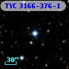 TYC 3166-376-1