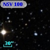 NSV   100