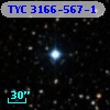 TYC 3166-567-1