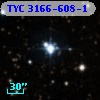 TYC 3166-608-1