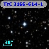 TYC 3166-614-1