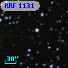 RRF 1131