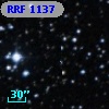 RRF 1137