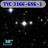 TYC 3166-686-1