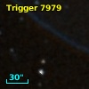 Trigger  7979