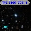 TYC 3166-723-1