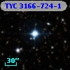 TYC 3166-724-1