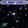 TYC 3664-1286-1