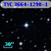 TYC 3664-1290-1