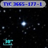 TYC 3665-177-1