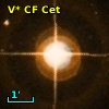 V* CF Cet