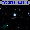 TYC 3665-1167-1