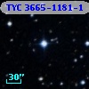 TYC 3665-1181-1