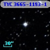 TYC 3665-1183-1