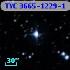 TYC 3665-1229-1