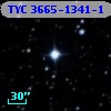 TYC 3665-1341-1