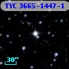 TYC 3665-1447-1