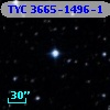 TYC 3665-1496-1