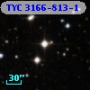 TYC 3166-813-1