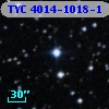 TYC 4014-1018-1