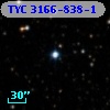 TYC 3166-838-1