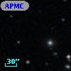 APMCC  66