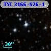 TYC 3166-876-1