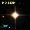 HD   5239