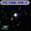 TYC 3166-910-1