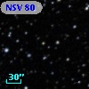 NSV    80