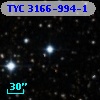 TYC 3166-994-1