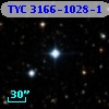 TYC 3166-1028-1