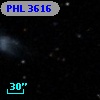 PHL  3616