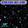 GSH 118-02-116