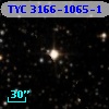 TYC 3166-1065-1