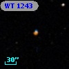 WT 1243