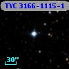 TYC 3166-1115-1