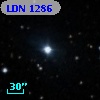 LDN 1286