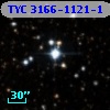 TYC 3166-1121-1