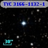 TYC 3166-1132-1