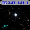 TYC 3166-1138-1