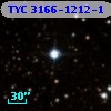 TYC 3166-1212-1