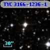 TYC 3166-1236-1