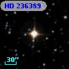 HD 236389