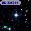 HD 236398