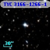 TYC 3166-1266-1